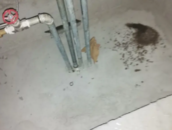 梨树卫生间测漏水价格明细