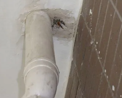 梨树漏水检测哪家好